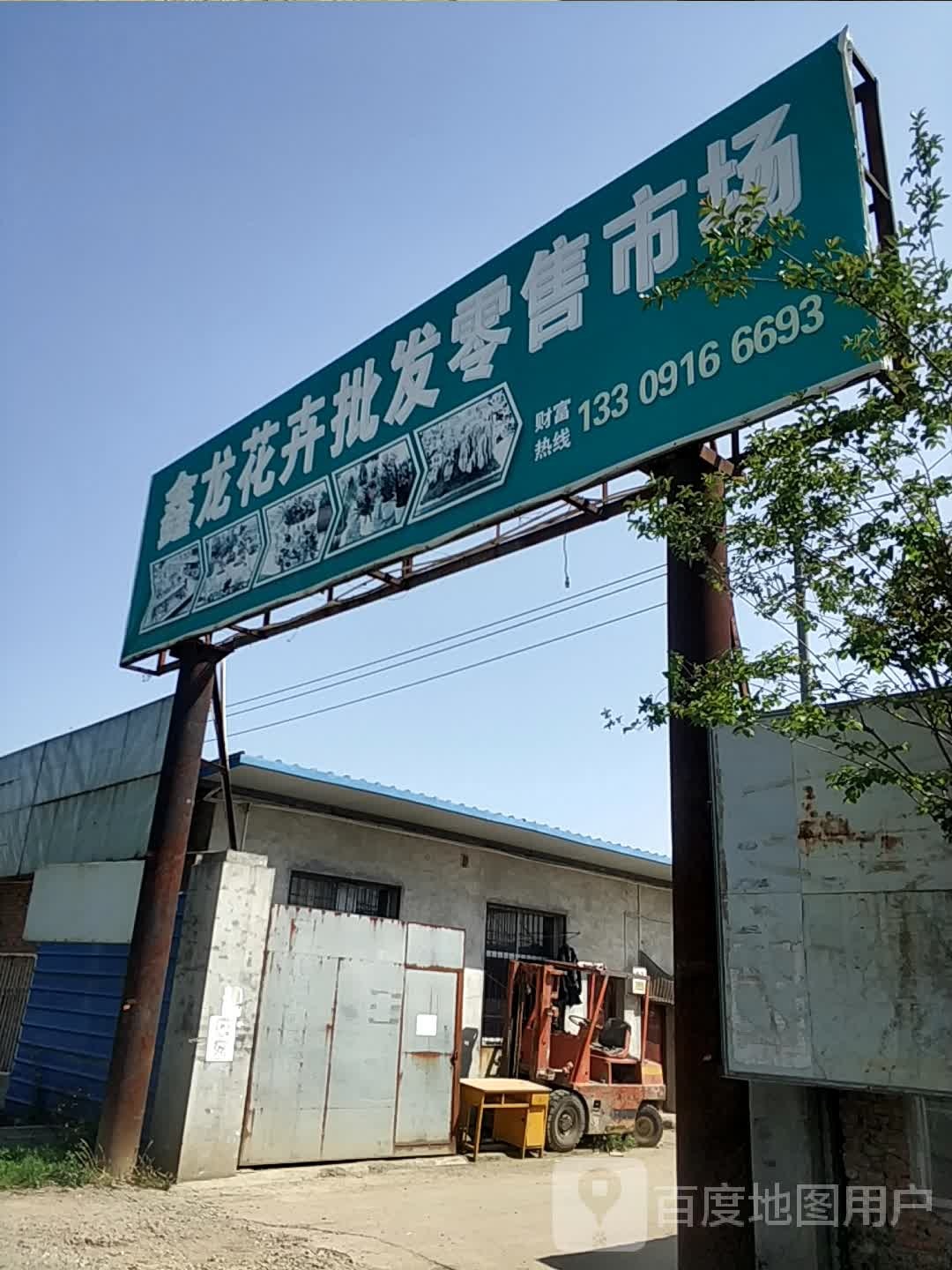鑫龙花卉批发零售市场