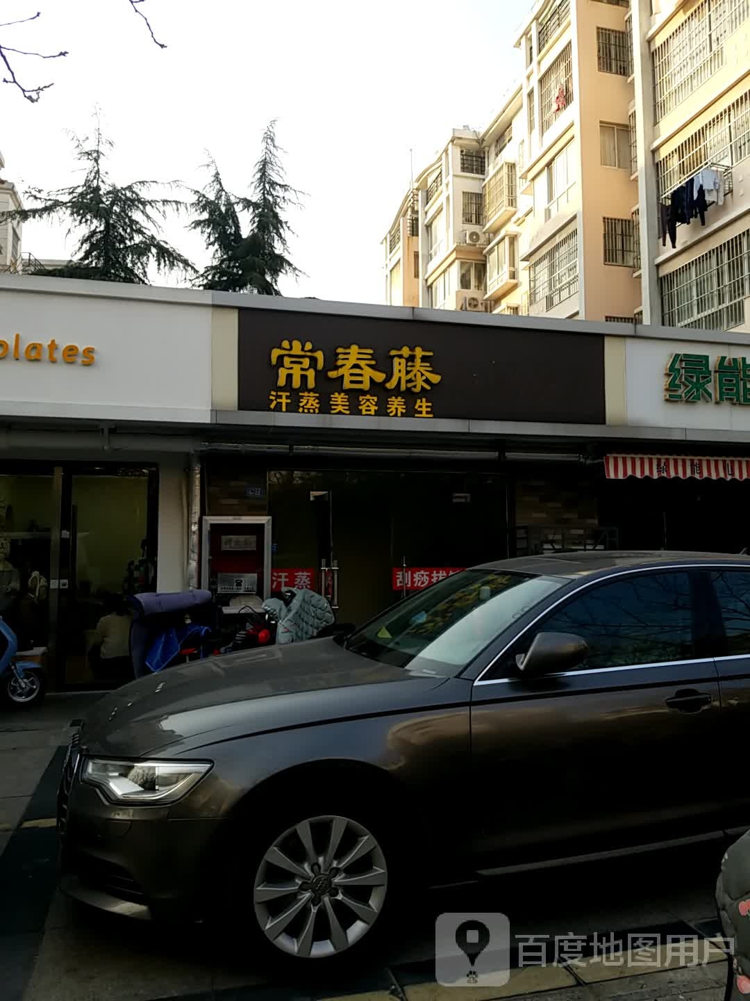 常春藤汗蒸美容羊生