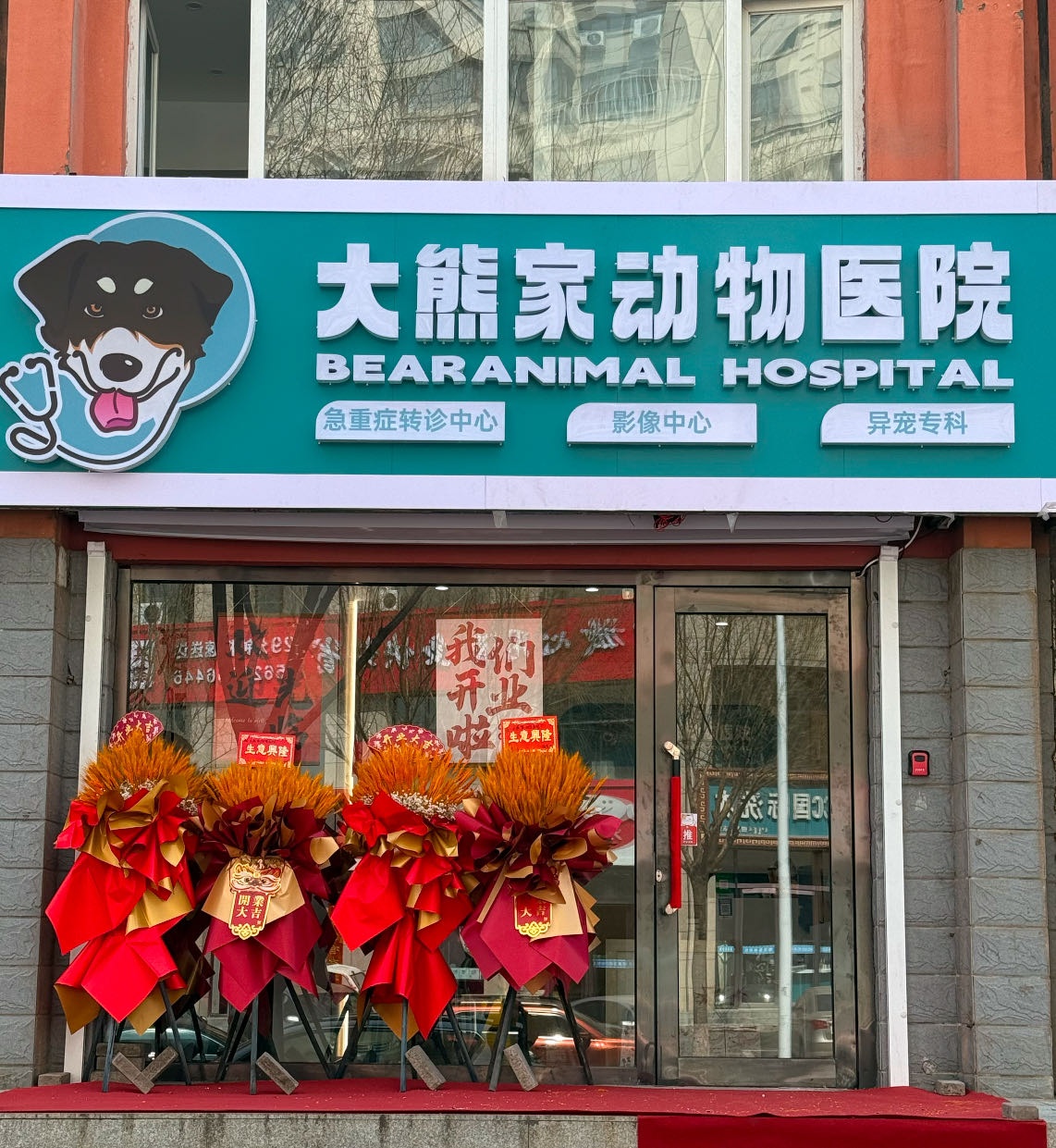 大熊家动物医院24小时急重症诊疗中心