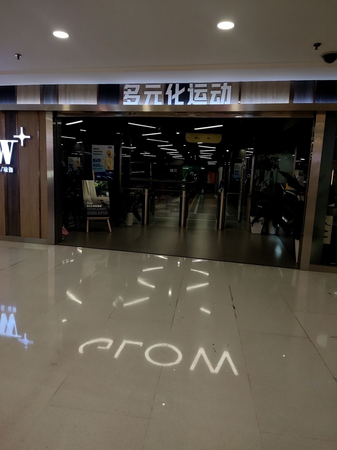 多元化运动