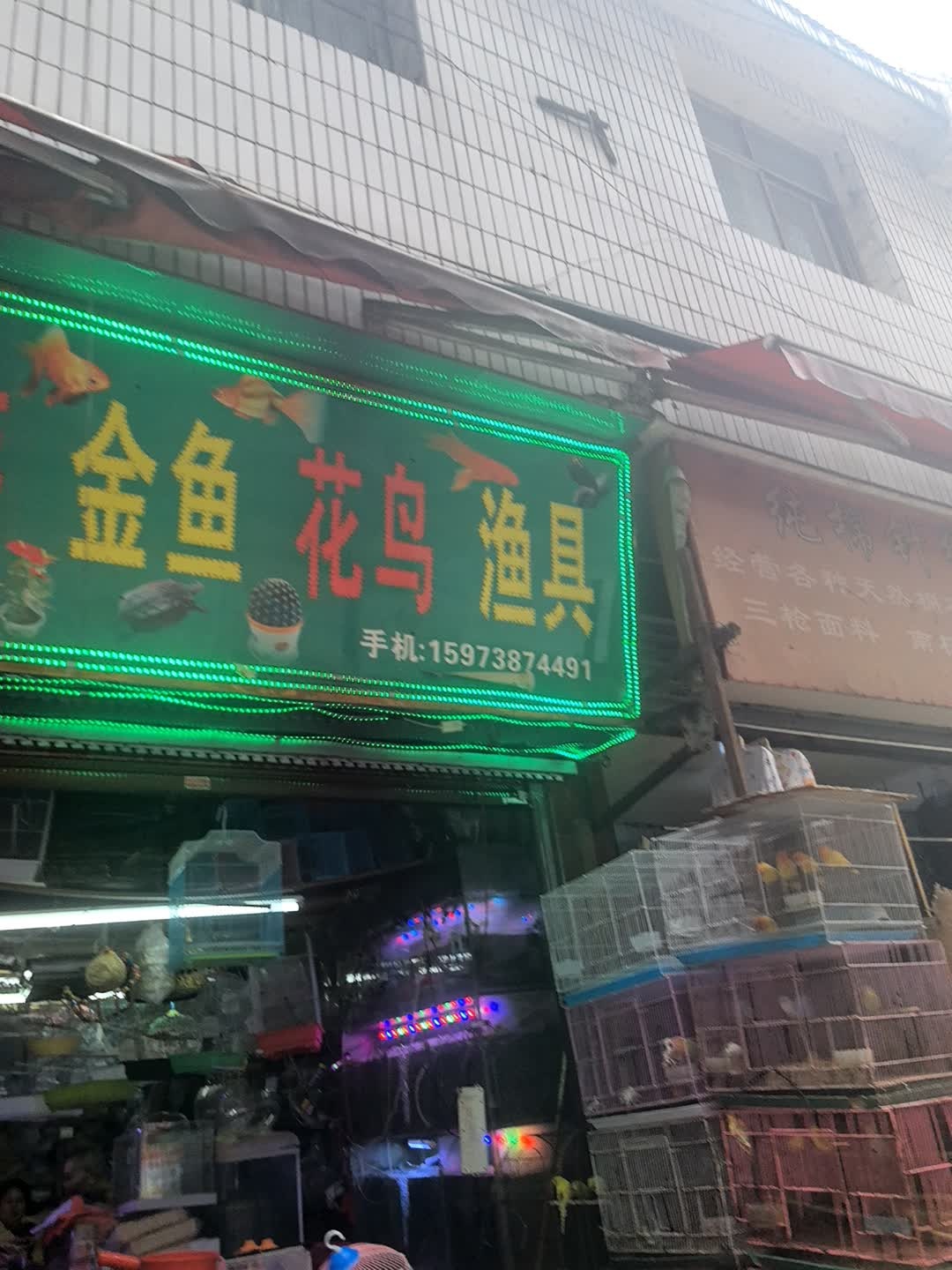 水族金鱼花鸟渔具(冷水江市商业步行街店)