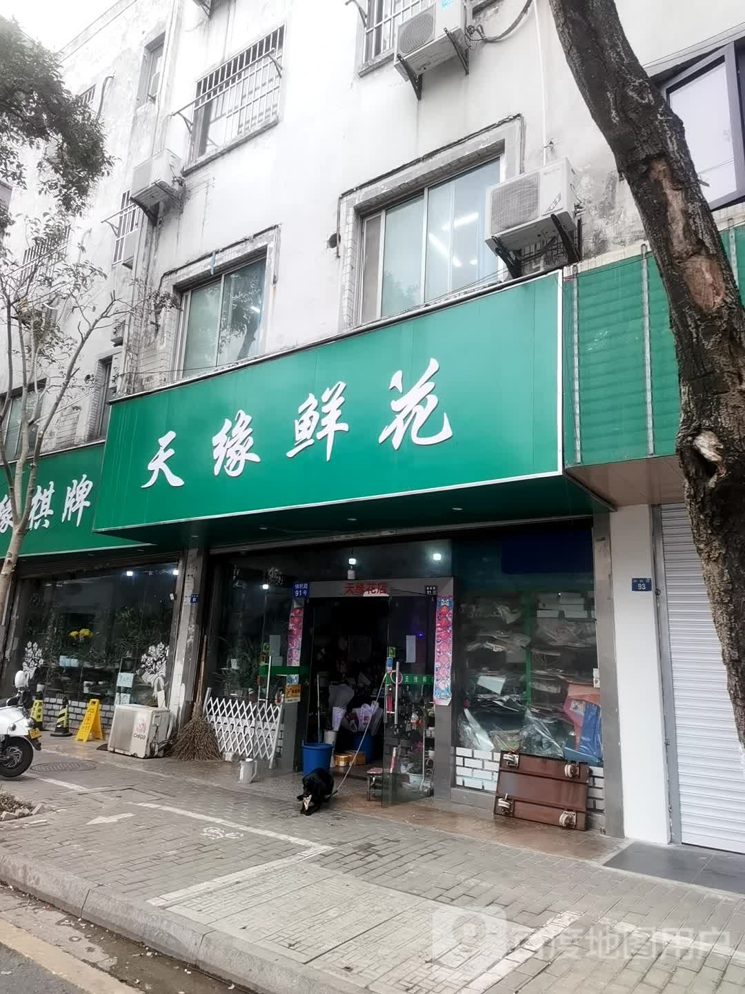 天缘花店