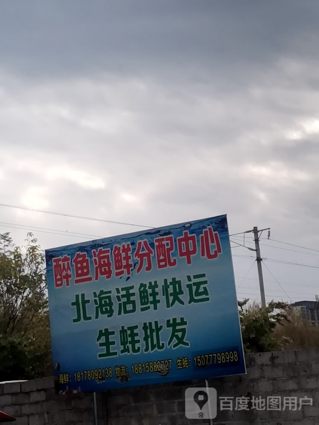 中正生蚝批发