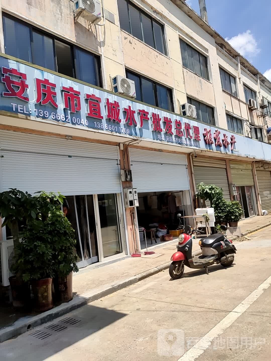 振发水产(兄弟蔬菜批发店)