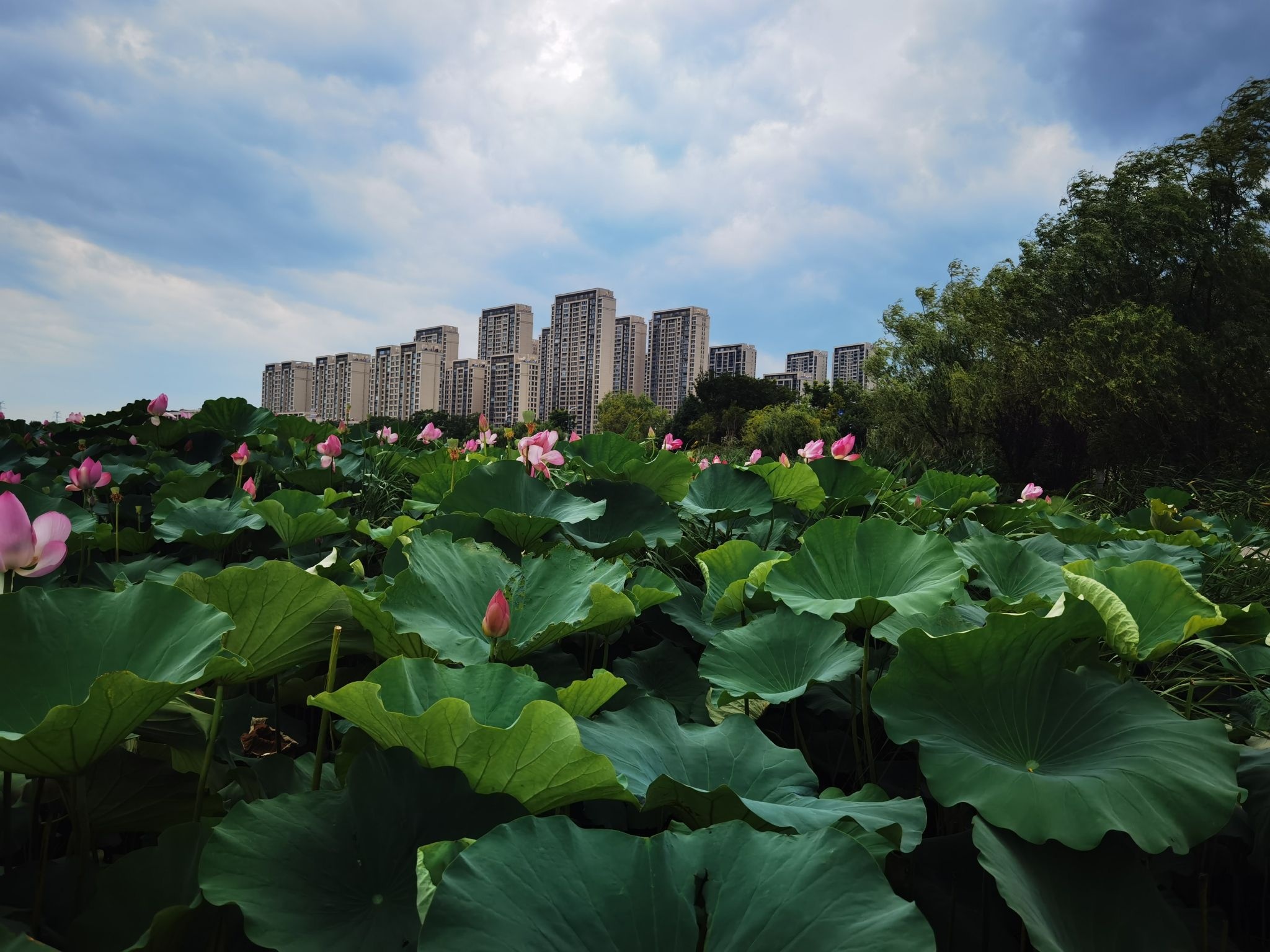 香榭湖景区区