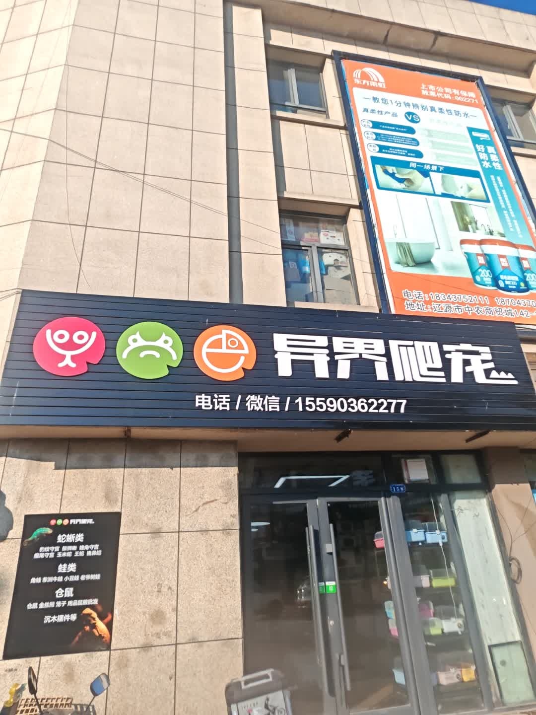 异界爬宠