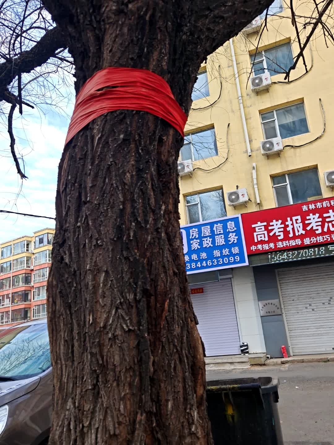吉林市前程无限教育咨询服务中心