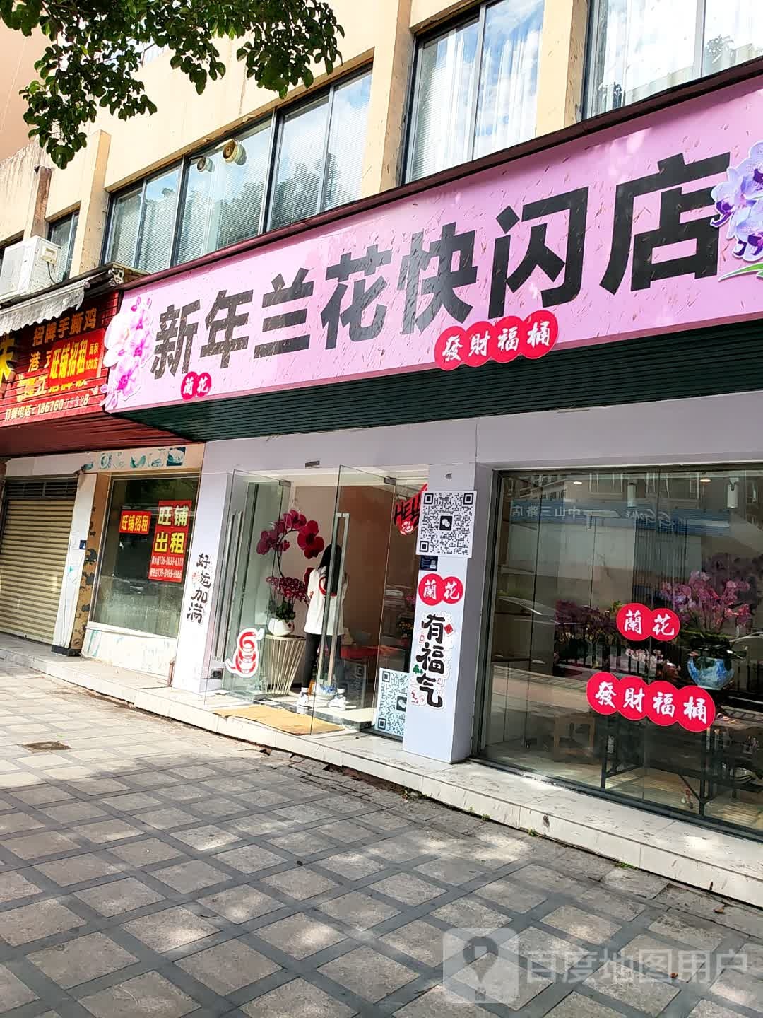 新年兰花快闪店