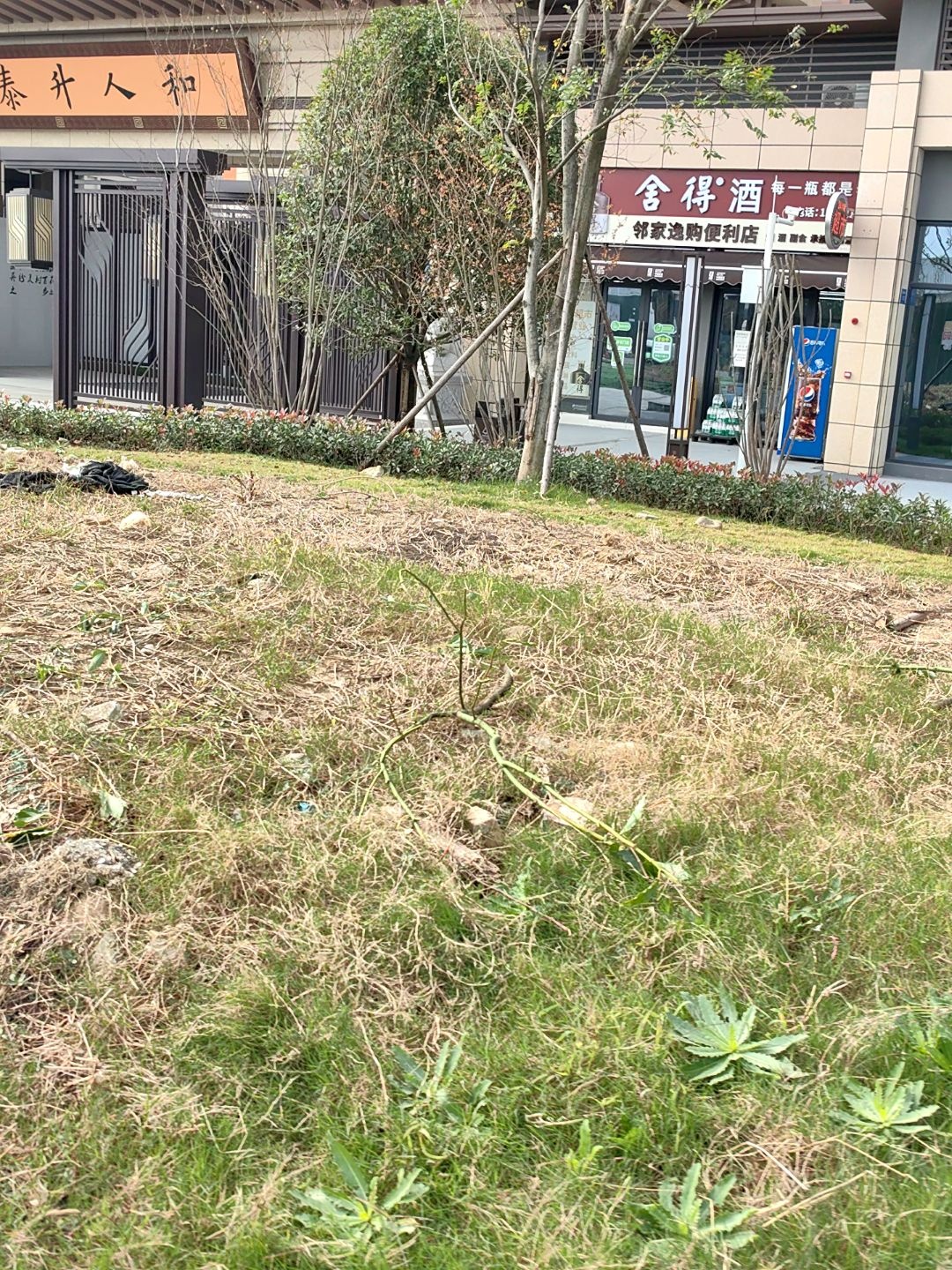 邻家逸购