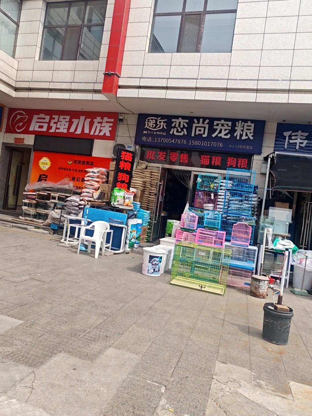 启强水族