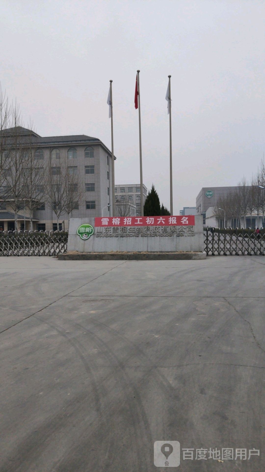 德城区抬头寺乡张庄村