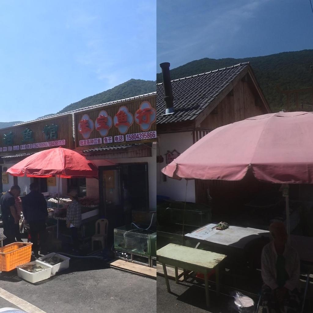 张宝鱼行