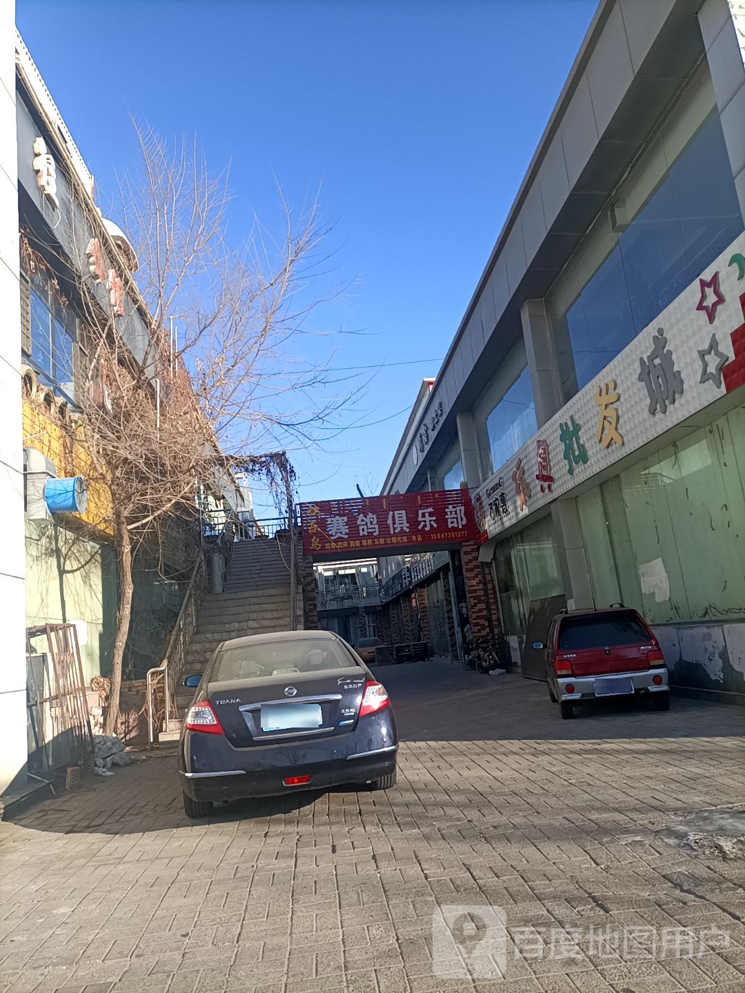快乐鸟赛鸽俱乐部