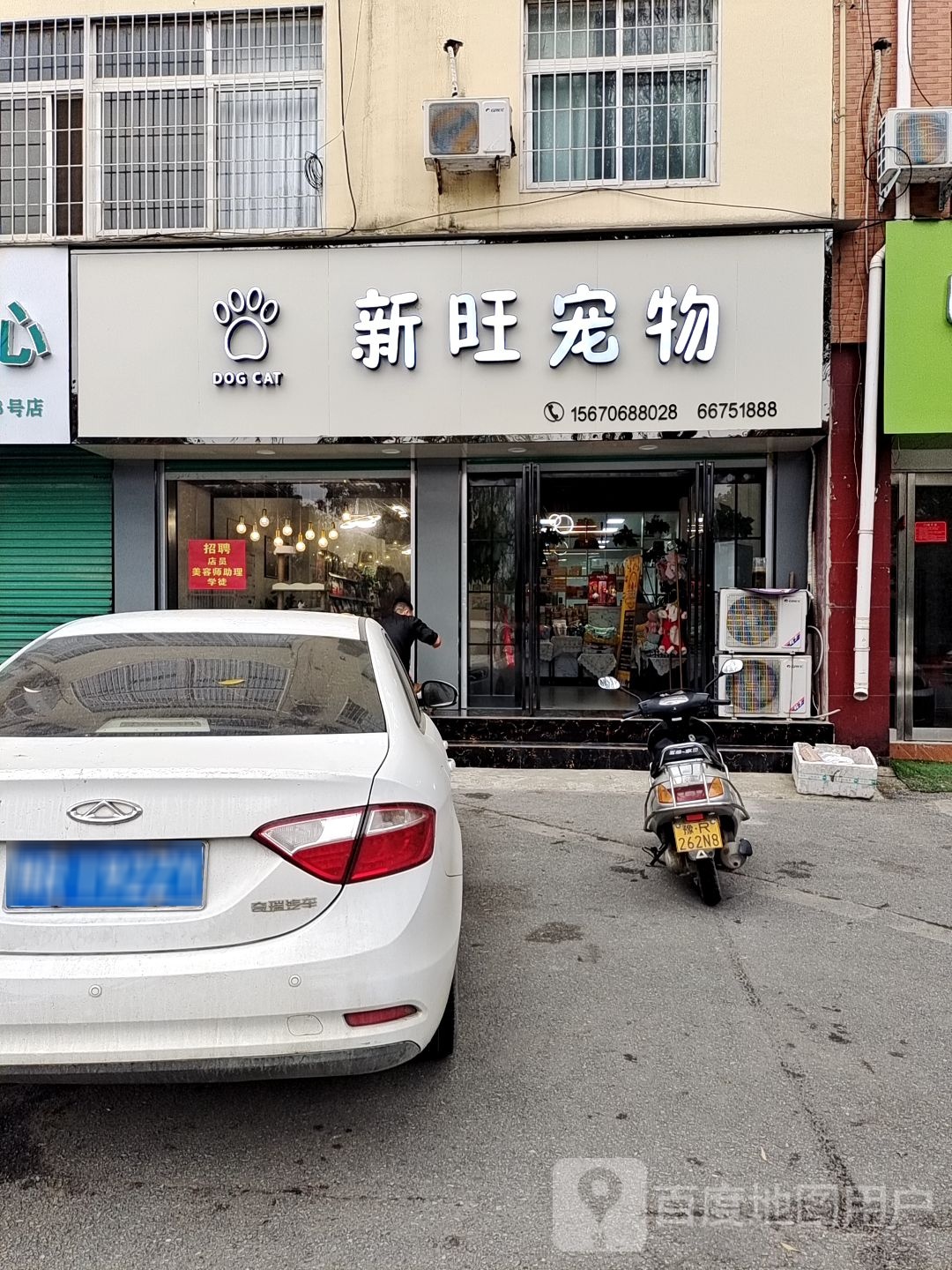 新旺宠物