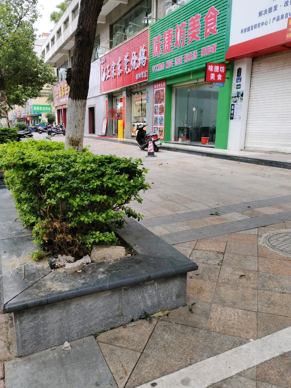 正宗东莞烧鹅(银湖湾店)