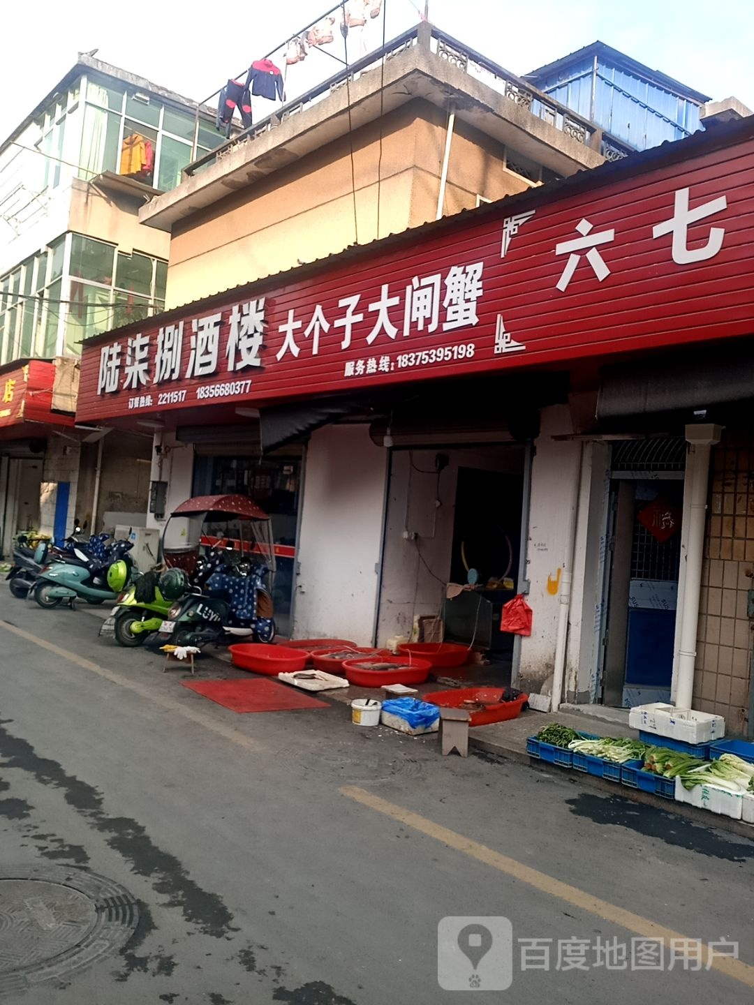 大个子大甲蟹