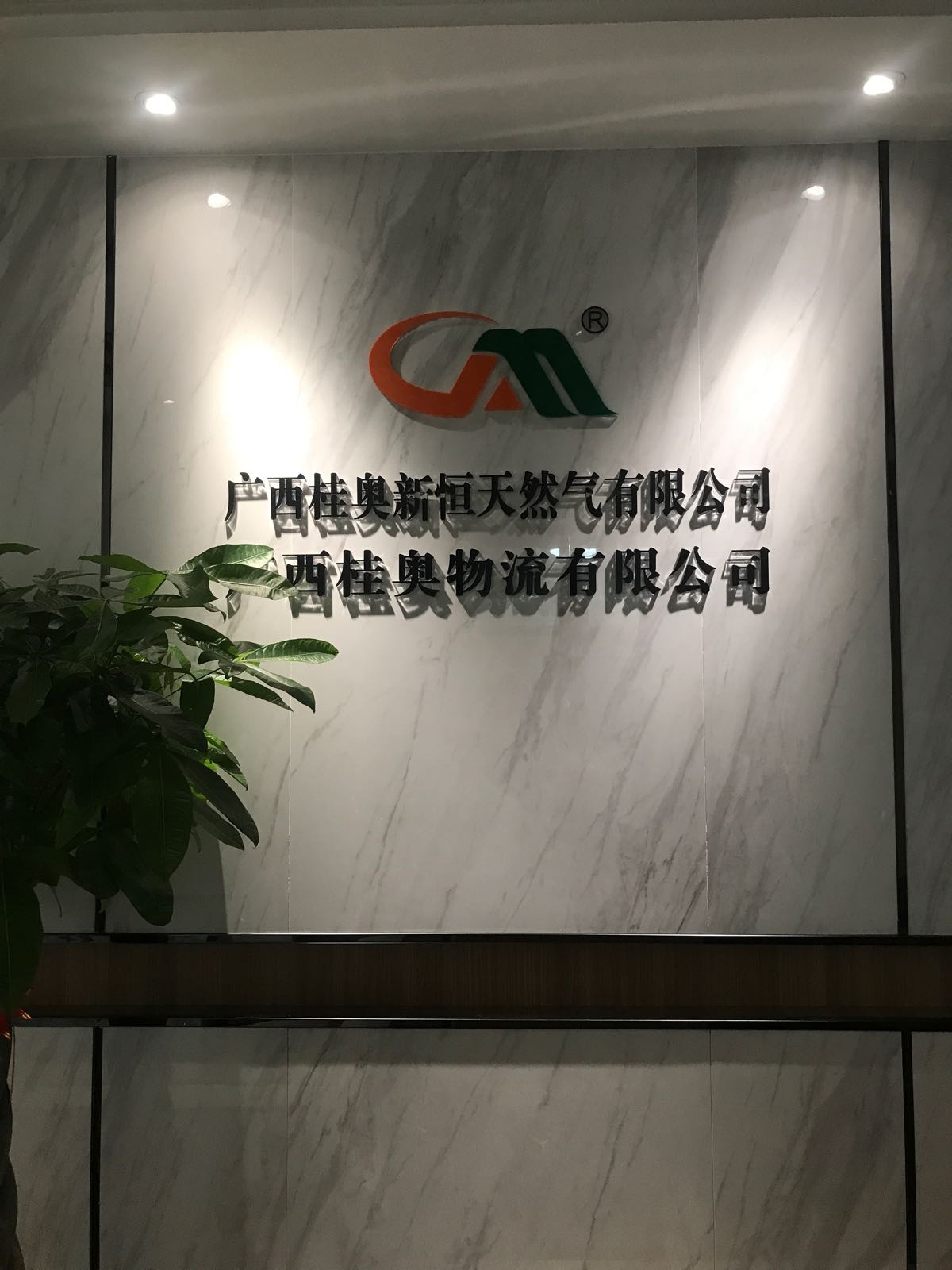 广西桂奥新恒天然气有限公司