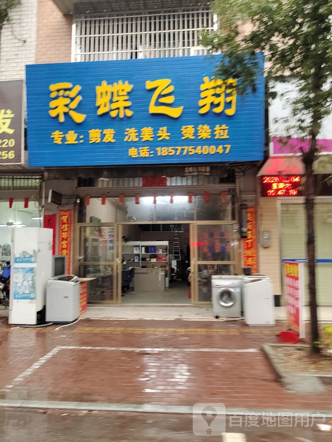 彩蝶飞翔剪发洗姜头