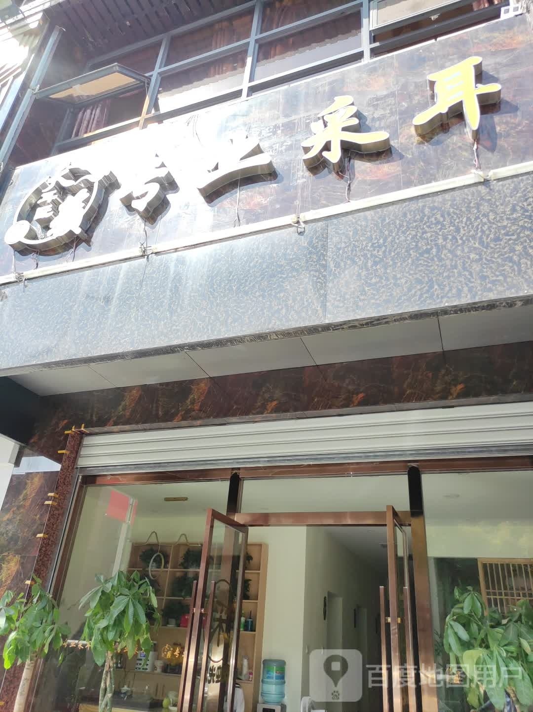 耳匠天籁专业采耳