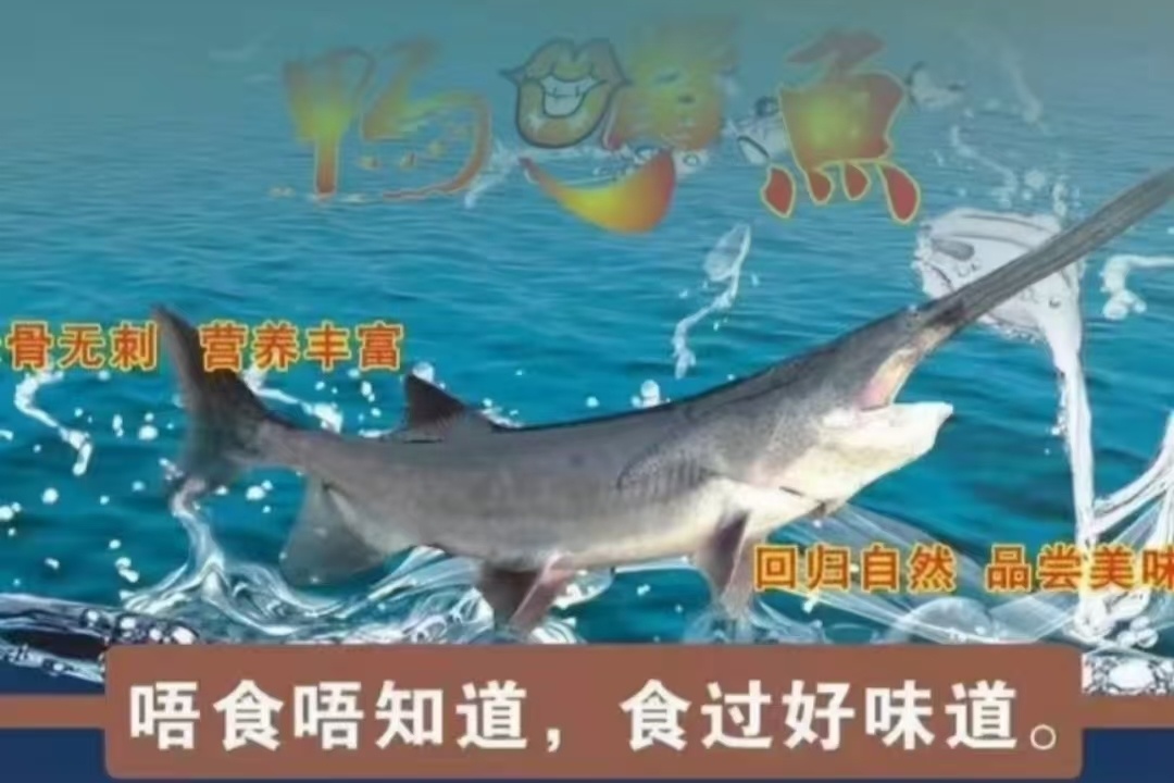 碧欣农庄·顺德特色菜