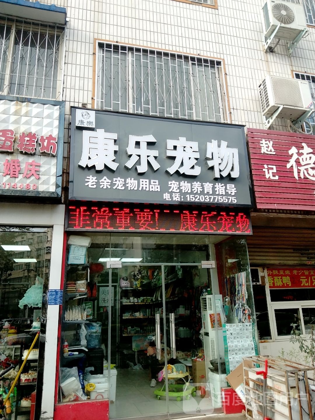 康乐动物(幸福小区店)