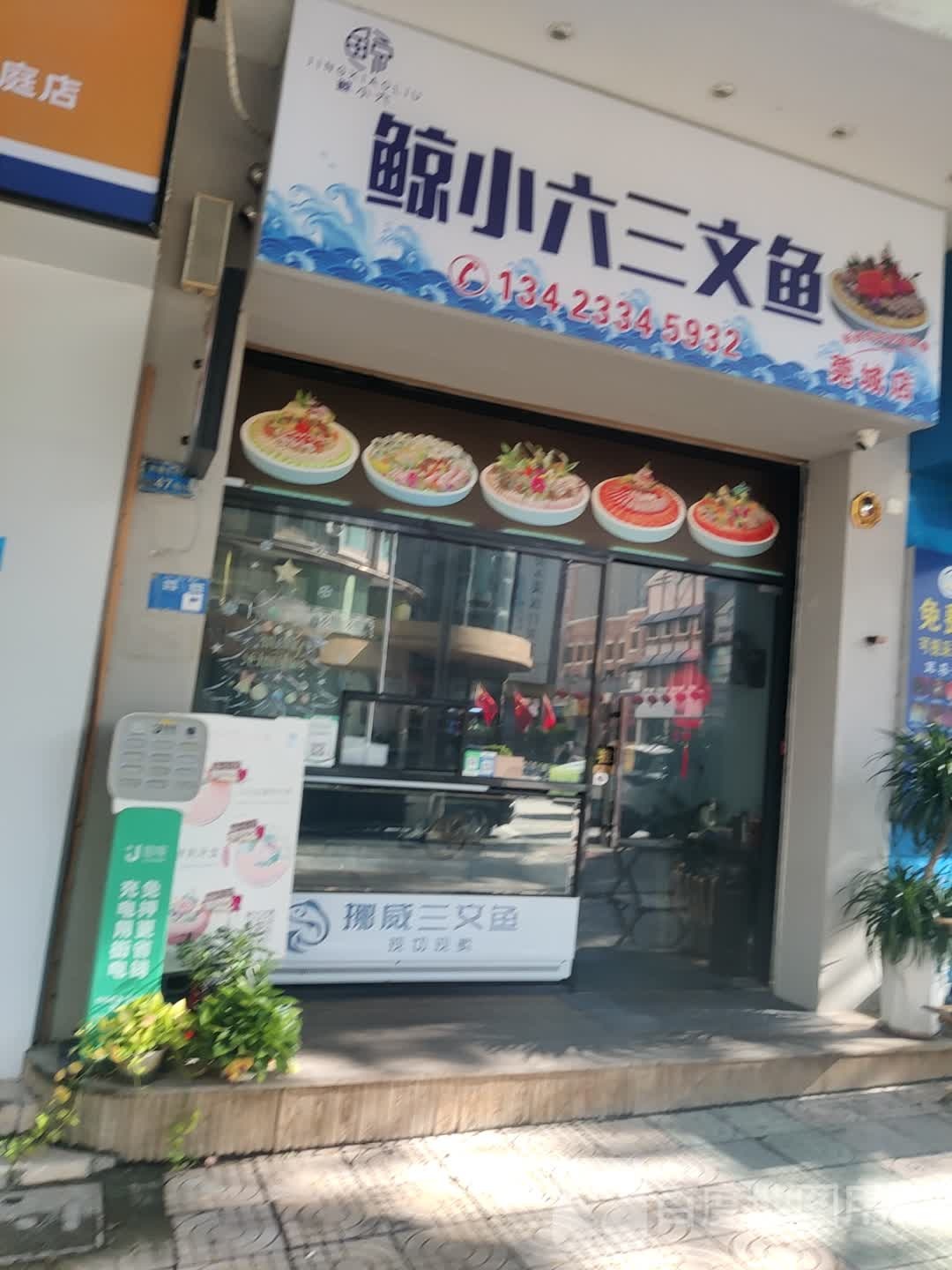 鲸小六三文鱼(东糖花园店)