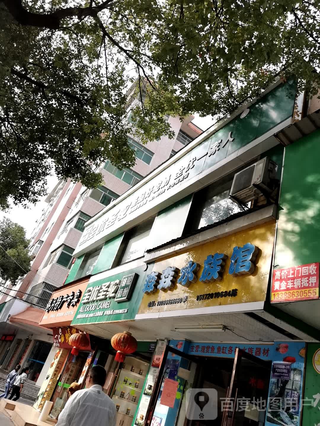 森森水族箱(湖滨路店)