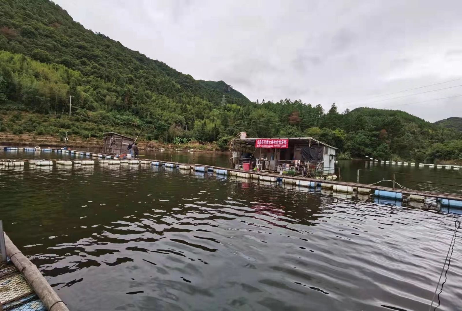 芭蕉水库休闲钓鱼场