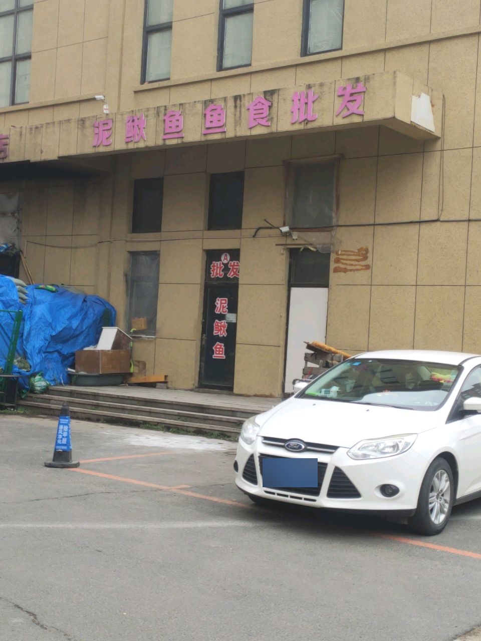 泥鳅鱼鱼食批发(金都华郡店)