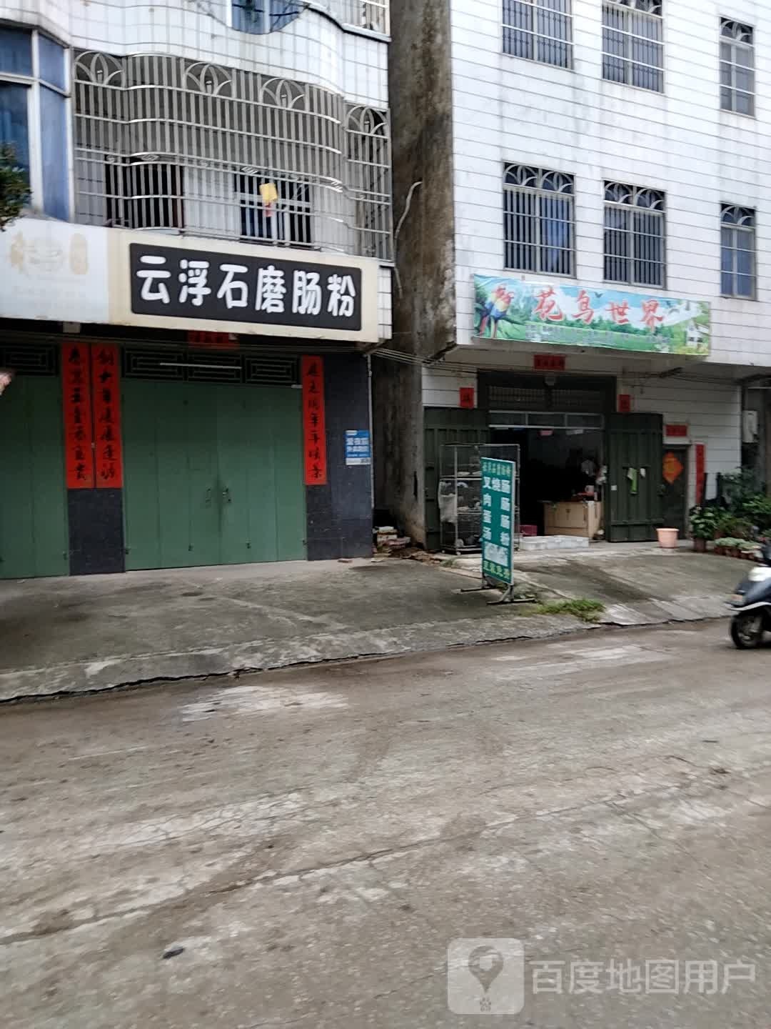 花鸟世界