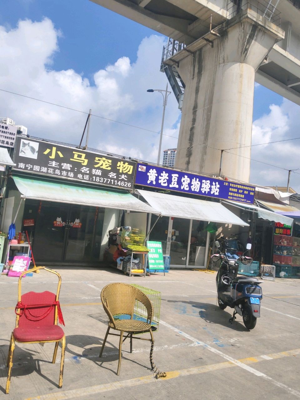 黄老豆宠物驿站