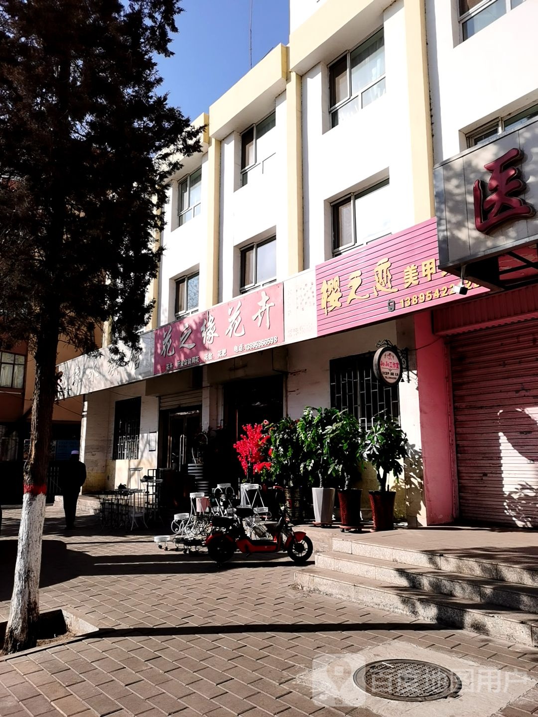 花之缘花卉(德胜路店)