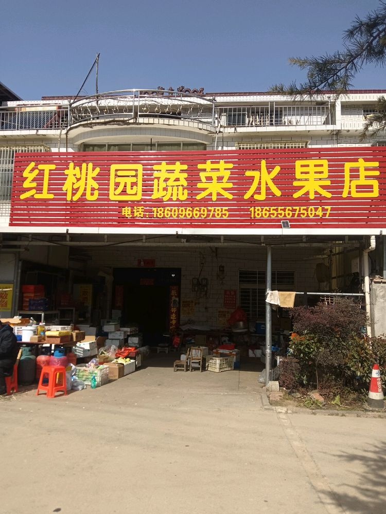 天华镇朱河村红桃园蔬菜水果商店