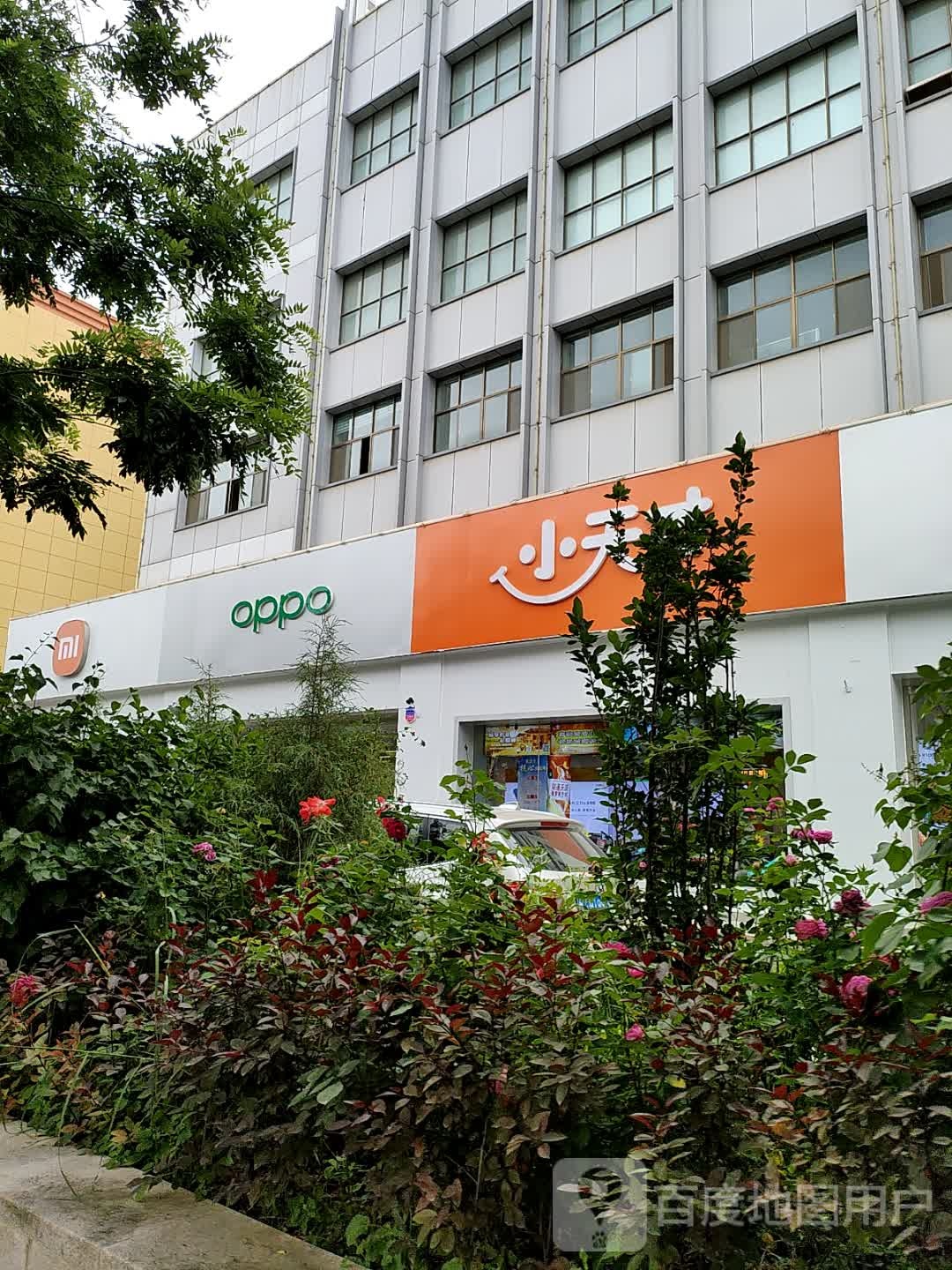 oppo(民主路店)