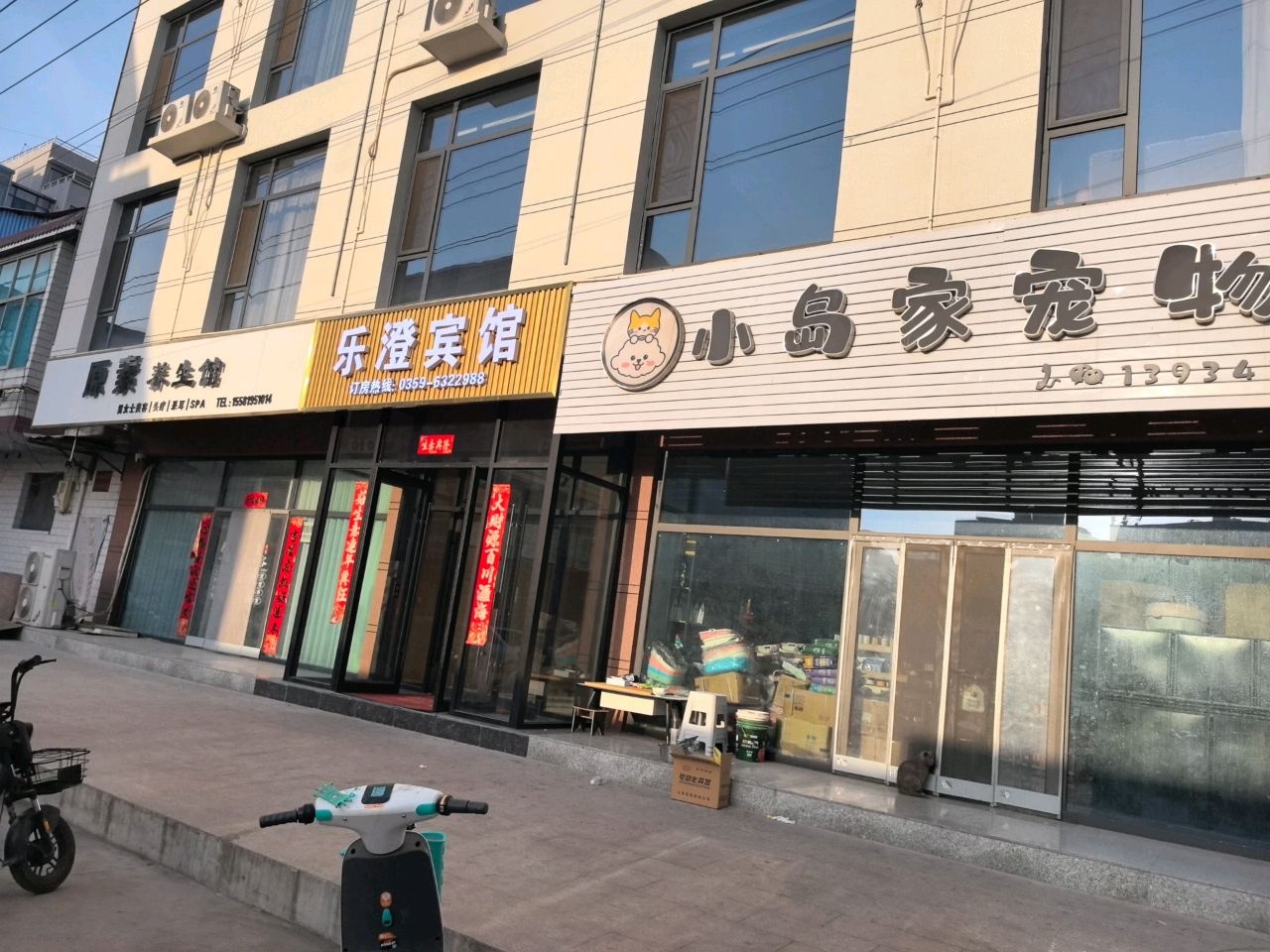 小岛家宠物店