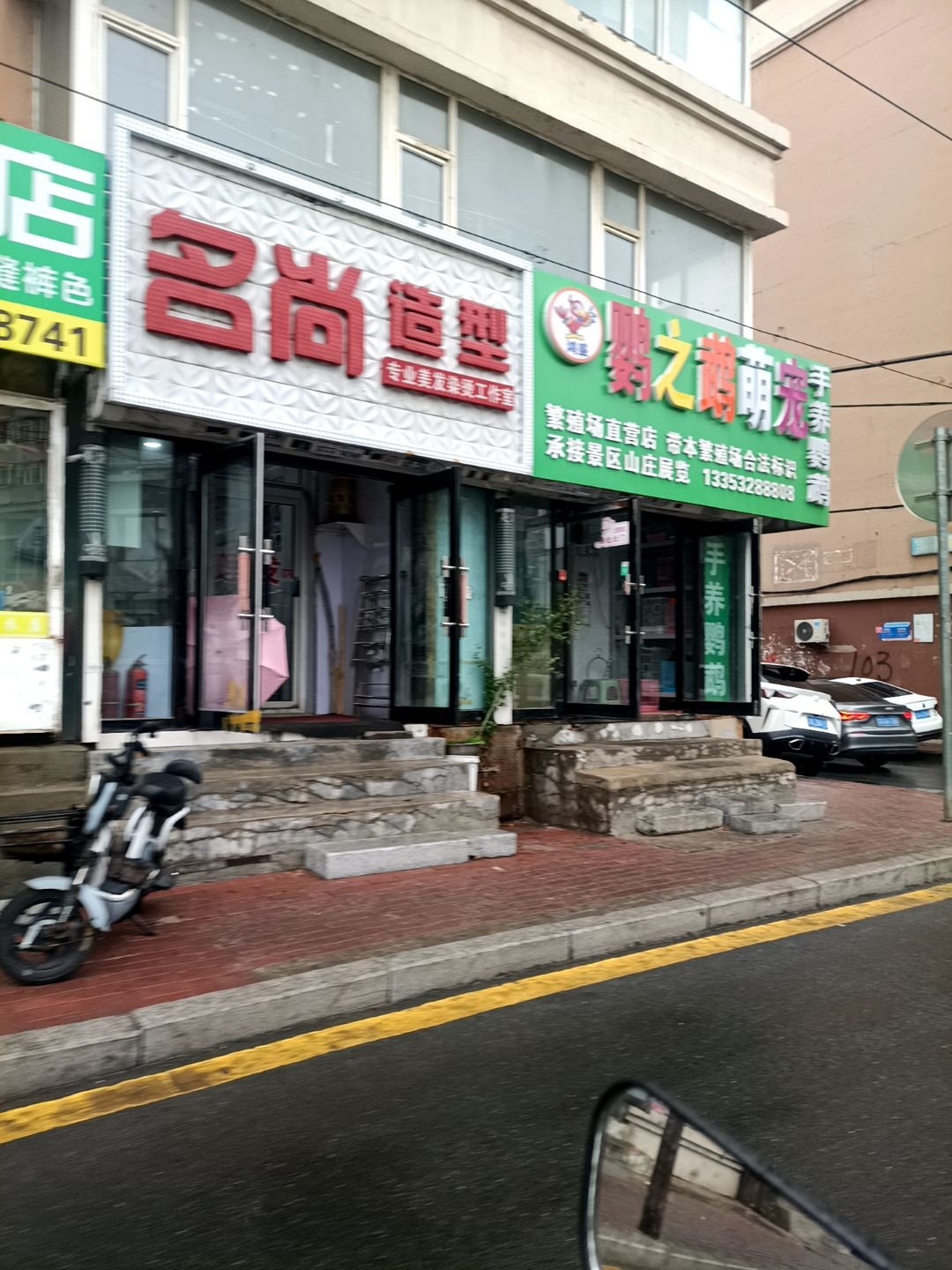 鹦之鹉萌宠