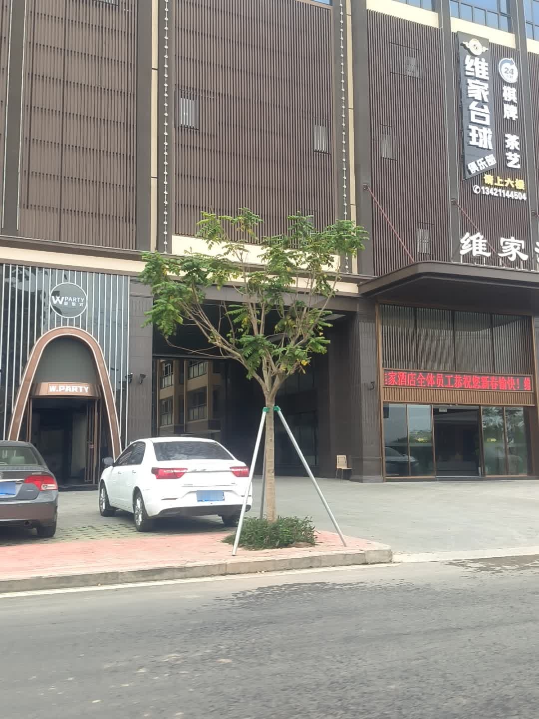 维家台球
