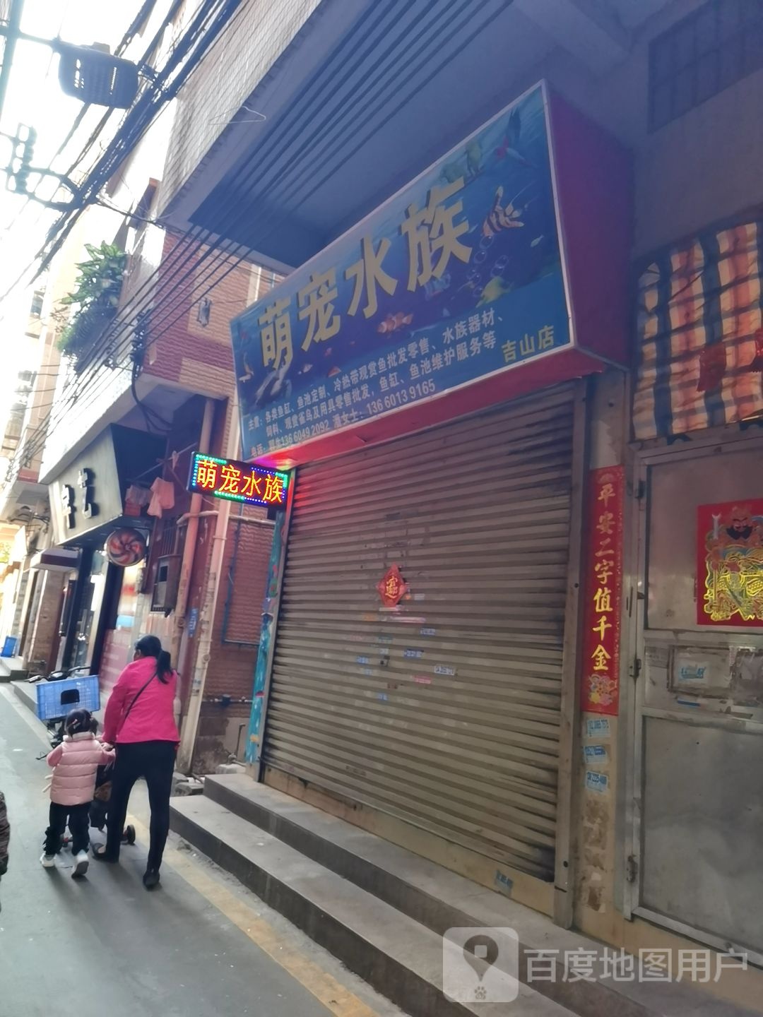 萌宠水族