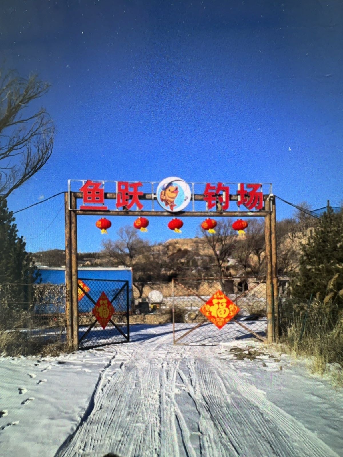 鱼跃钓场