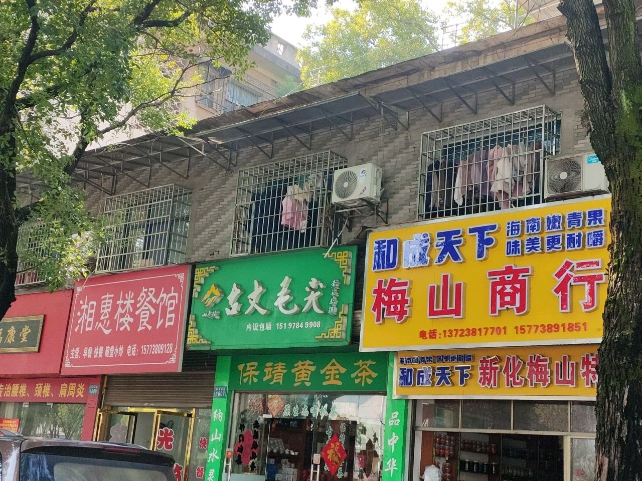 古丈毛尖