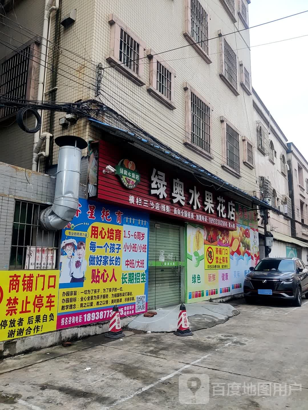 绿奥水果(横栏三沙店)