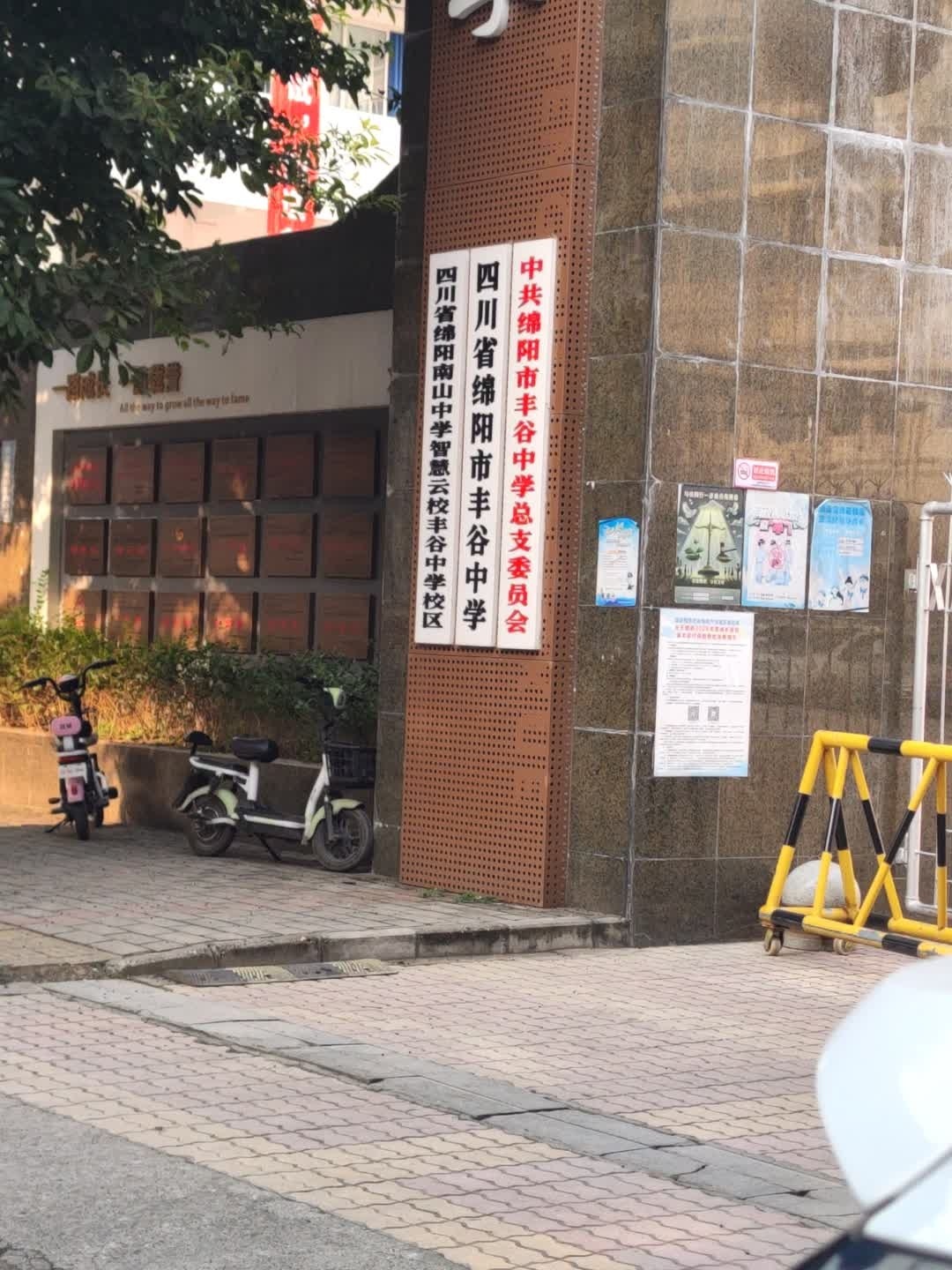 四川省绵阳市丰谷中学