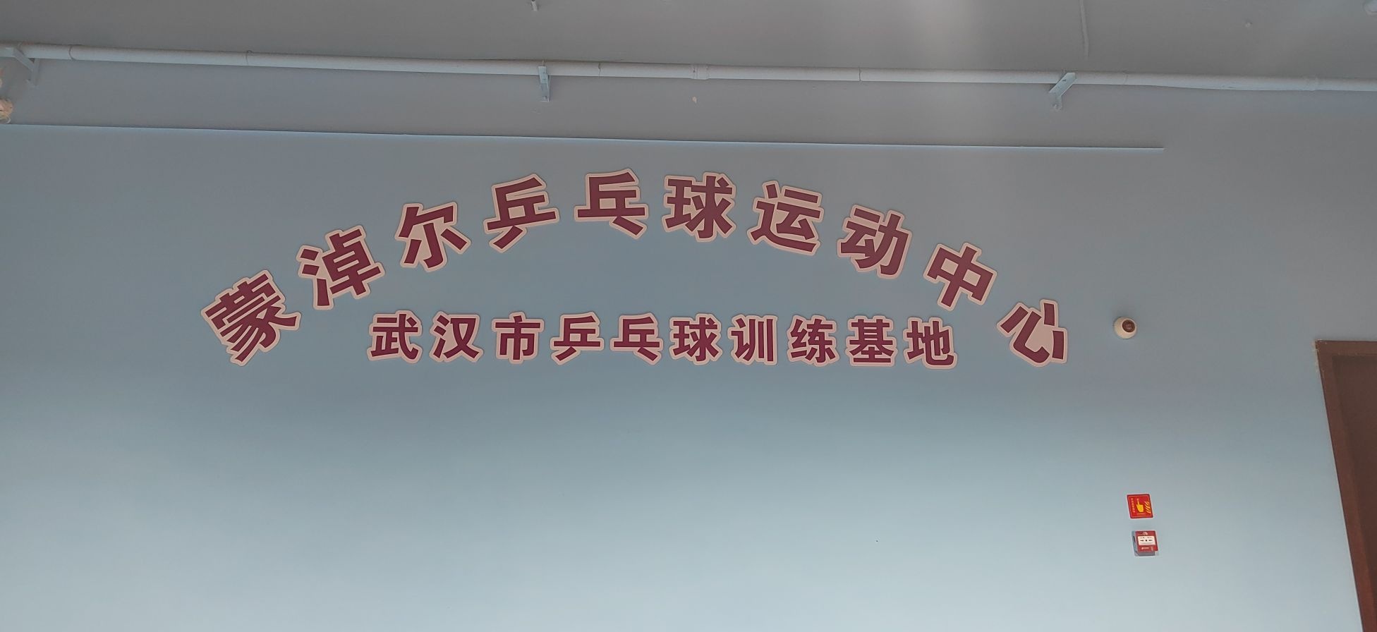 蒙淖尔乒乓球运动中新