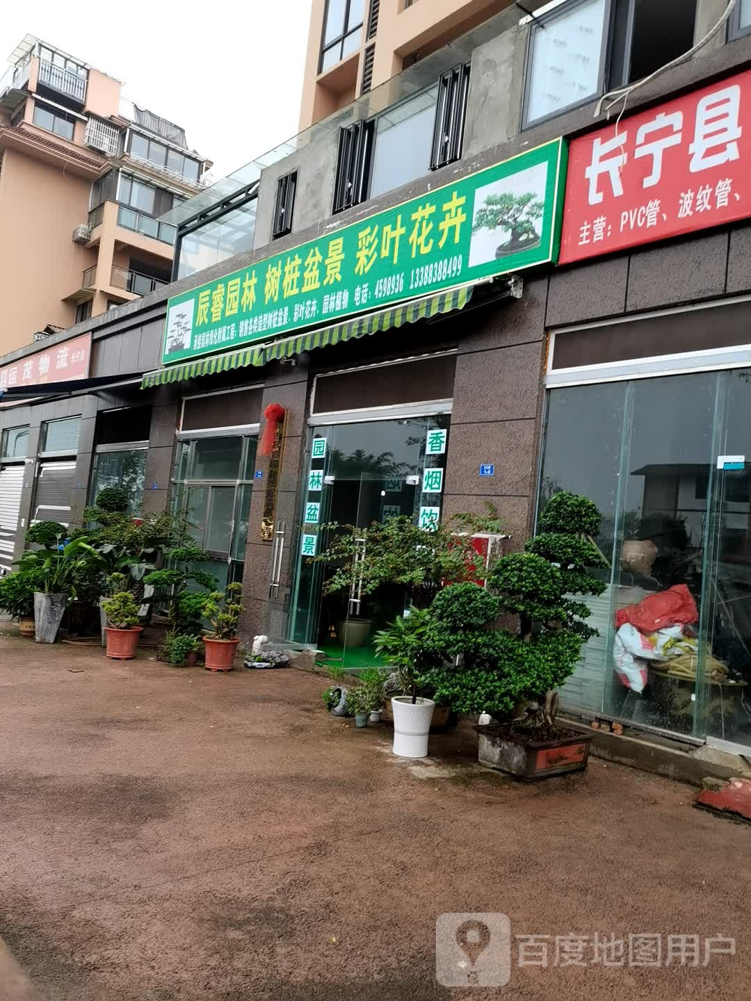 辰睿园林树桩盆景