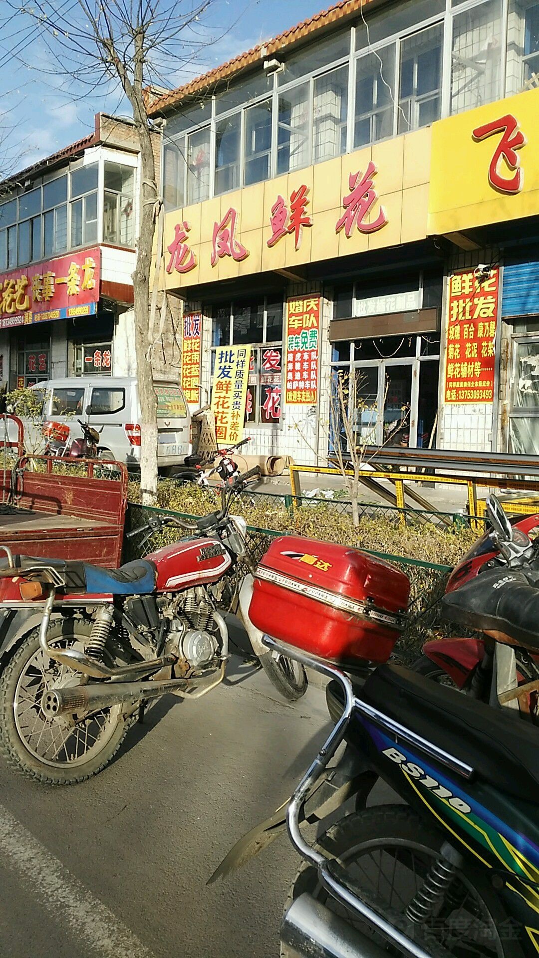 龙凤鲜花(马邑路店)