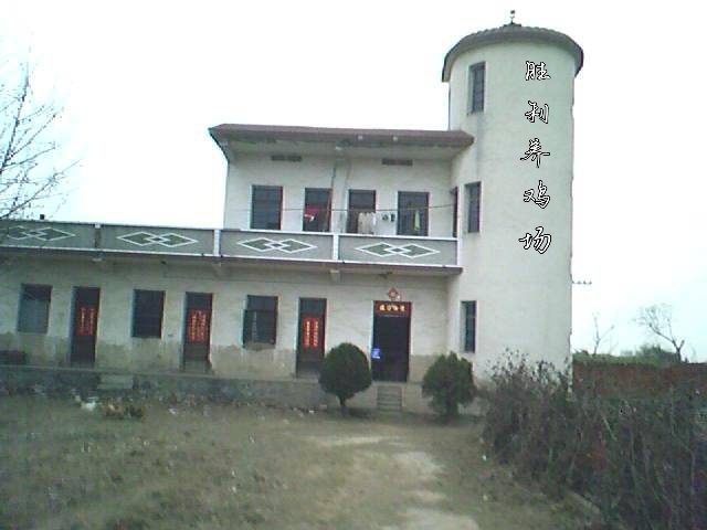 东至县胜利养鸡场