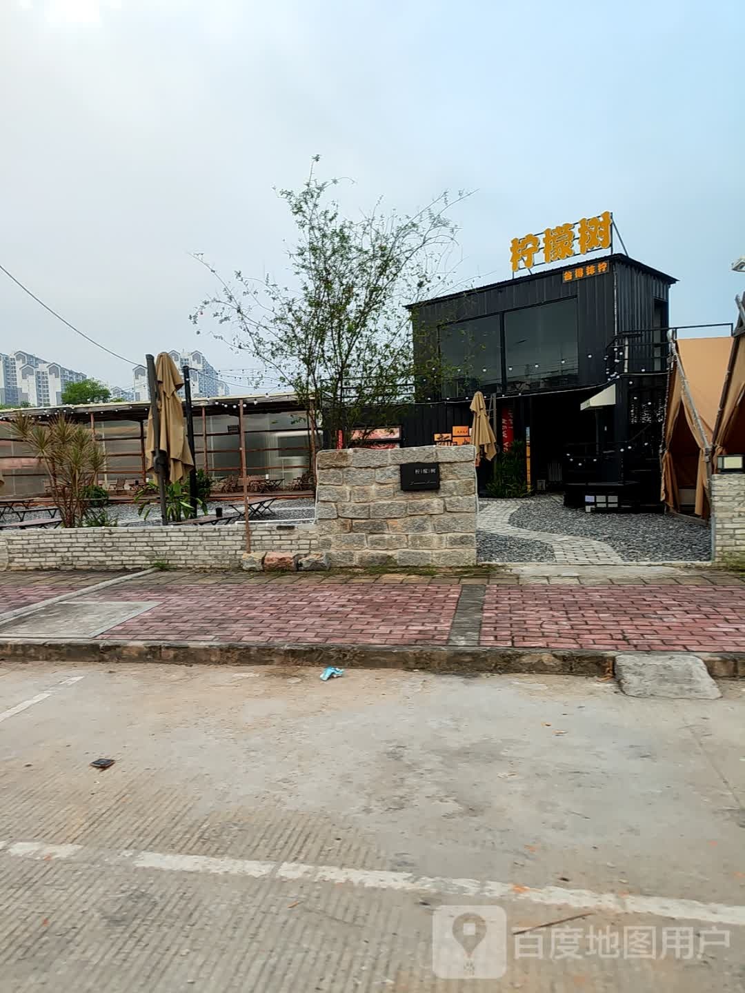 柠檬树