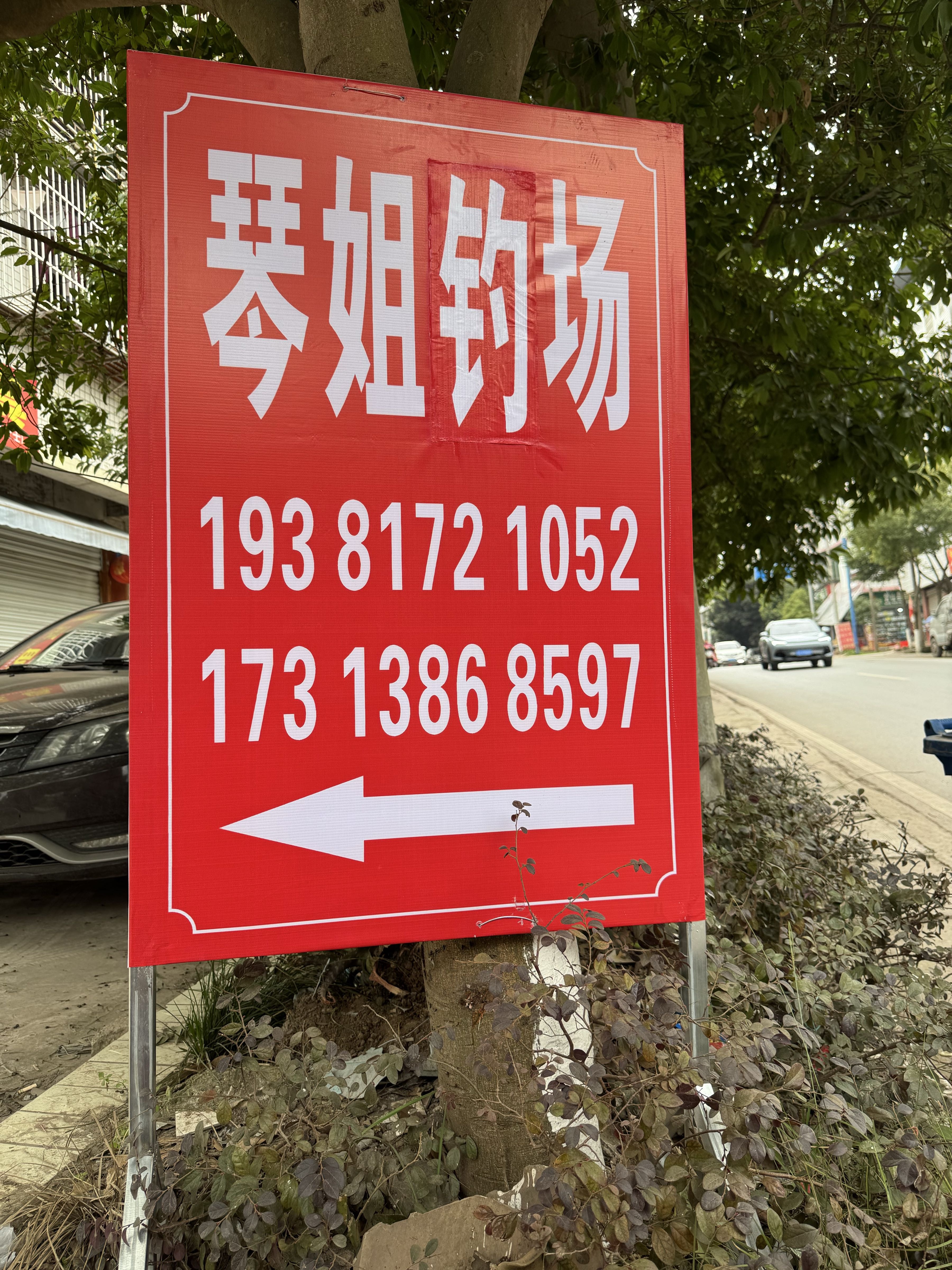 琴姐钓场