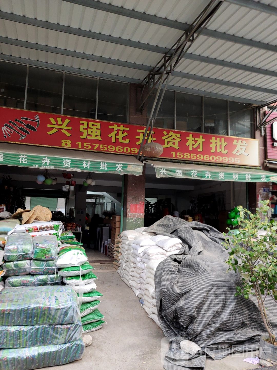 兴强花卉资材批发