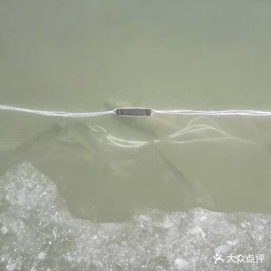 邛崃鱼庄